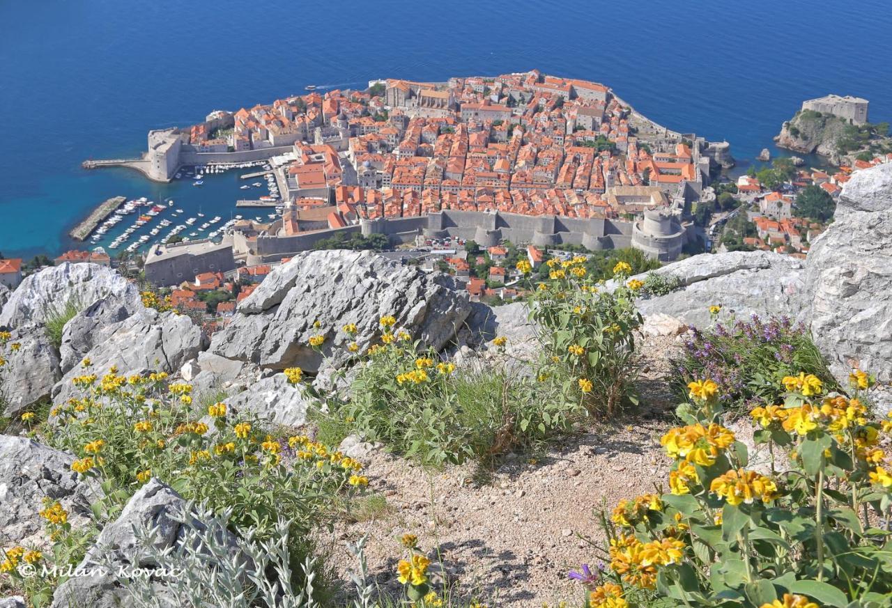 Mirror Apartment Dubrovnik Dış mekan fotoğraf